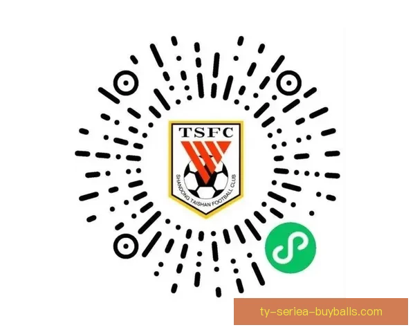 泰山新赛季年票三档定价揭晓