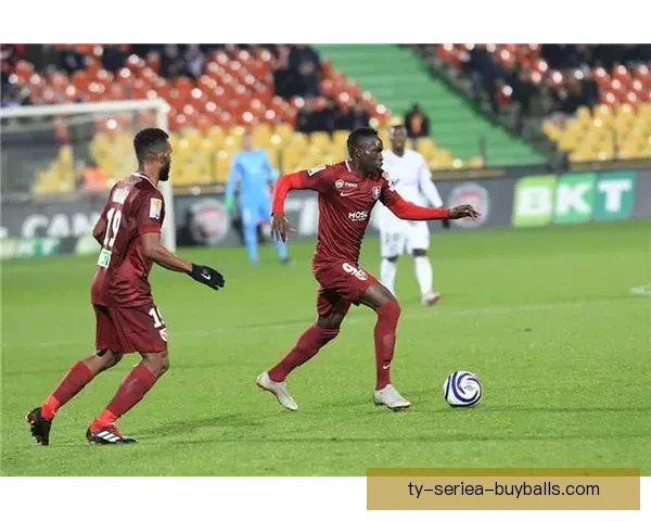 欧塞尔大胜梅斯达努瓦西纳约科